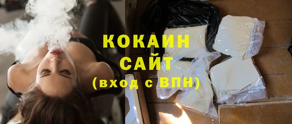 прущий лед Алзамай