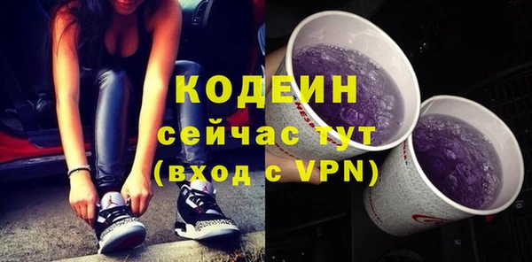 прущий лед Алзамай