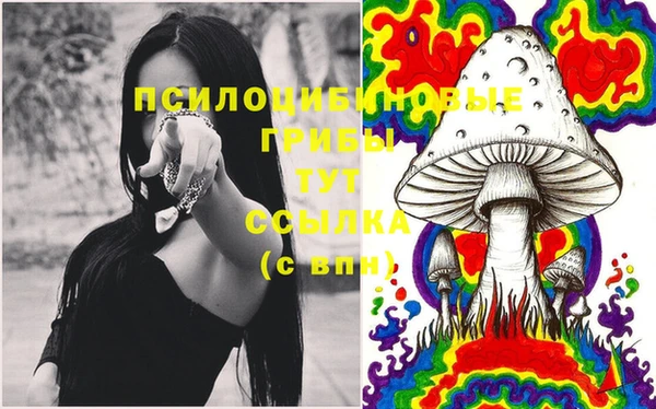 прущий лед Алзамай